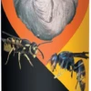 Insecticide ANTI GUEPES FRELONS - Aerosol De 750 Ml
