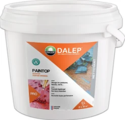 Decapant Peinture Universel PAINTOP - Bidon 5 L