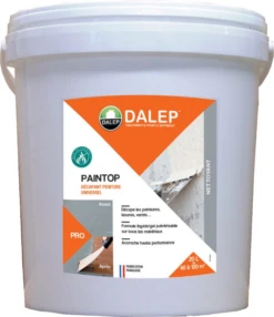 PAINTOP Decapant Peinture Universel Seau 20 Litres (pour 40 A 120 M²)