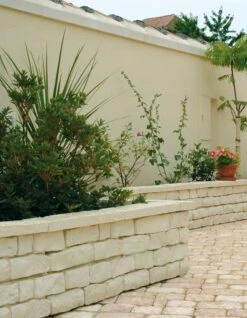 Chaperon Garrigue Plat 50 X 14 X 4 Creme